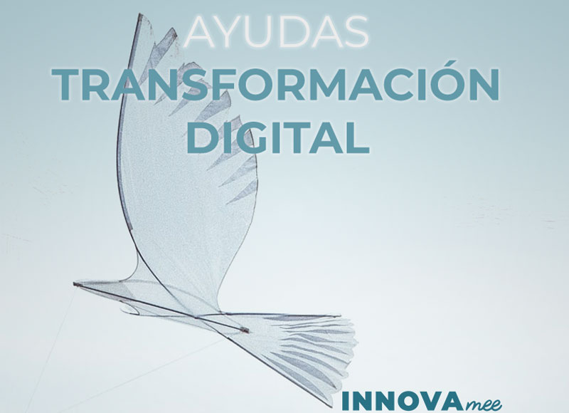 Ayudas para la Transformación Digital